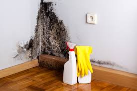  , USA Mold Removal Services Pros